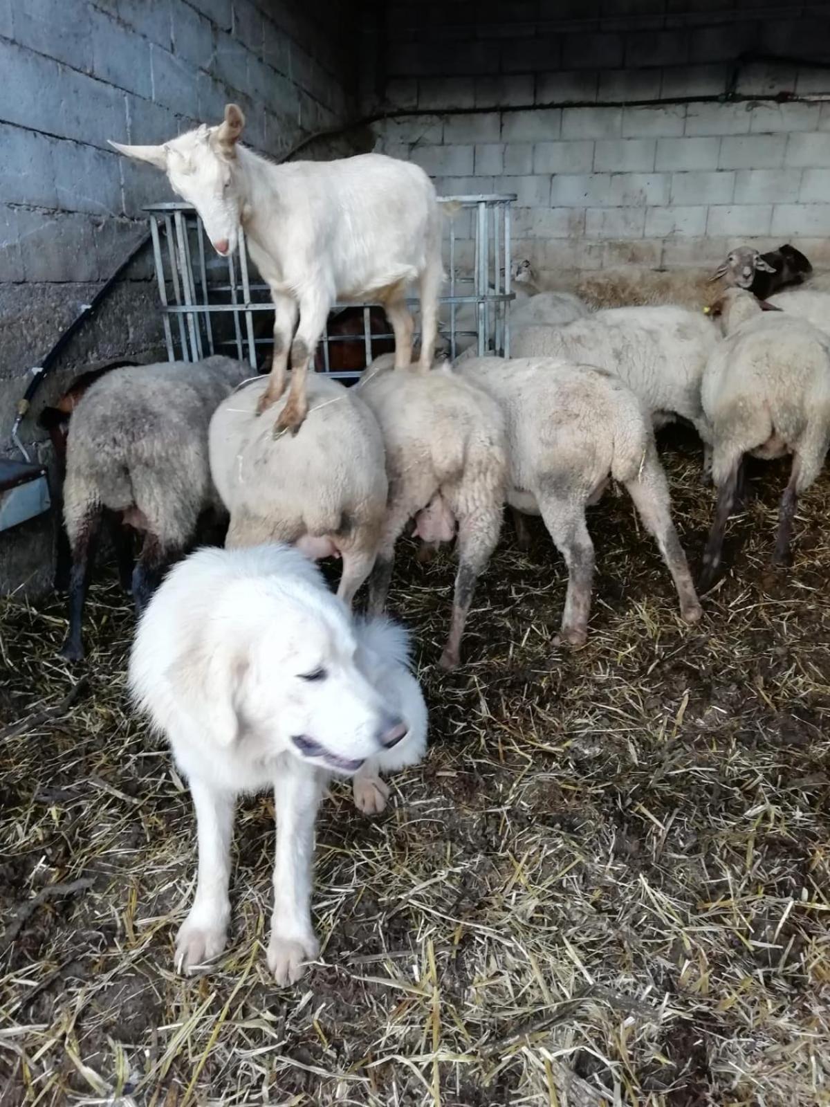 Agriturismo Casa Della Nonna 모르마노 외부 사진