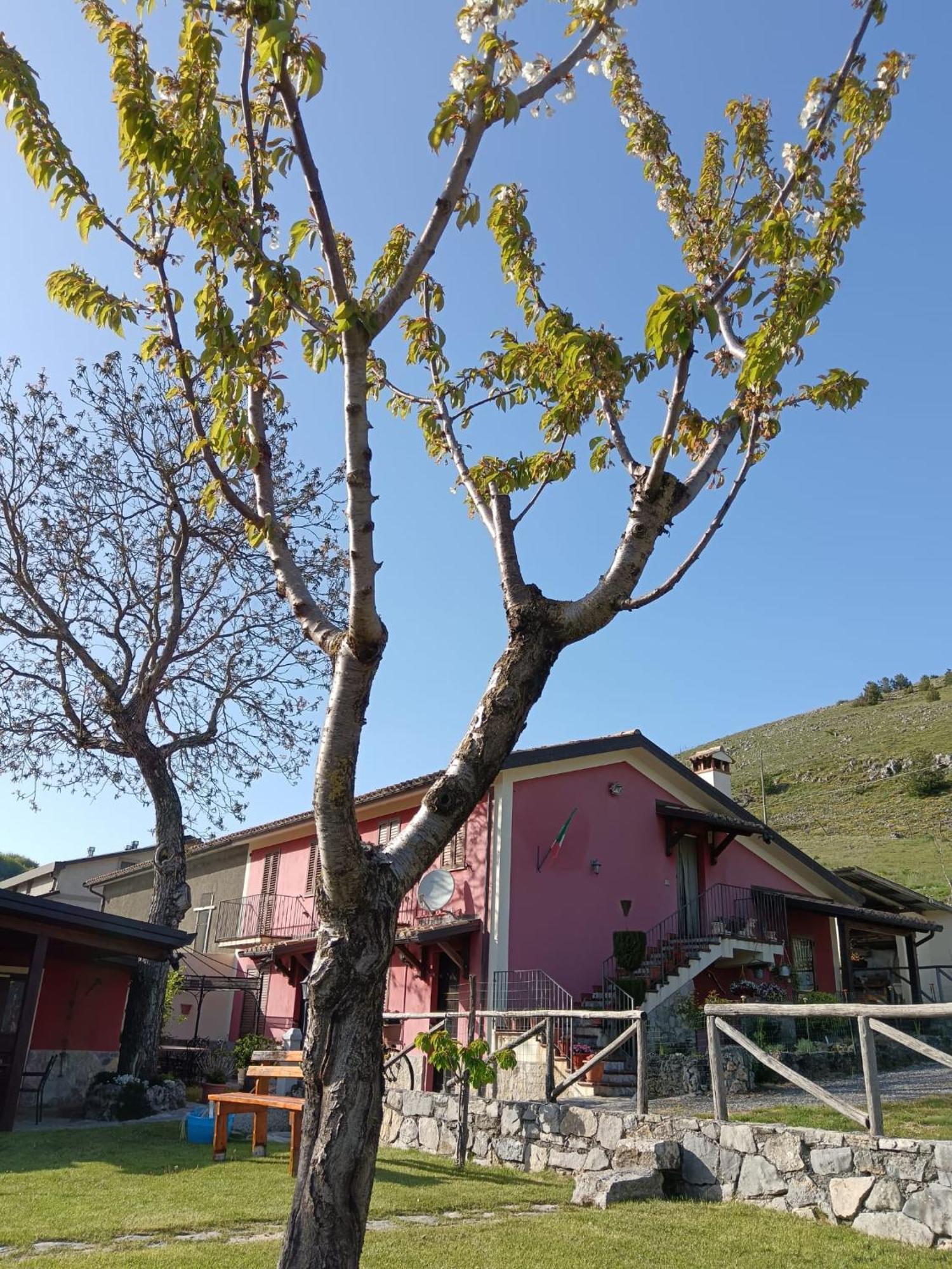 Agriturismo Casa Della Nonna 모르마노 외부 사진