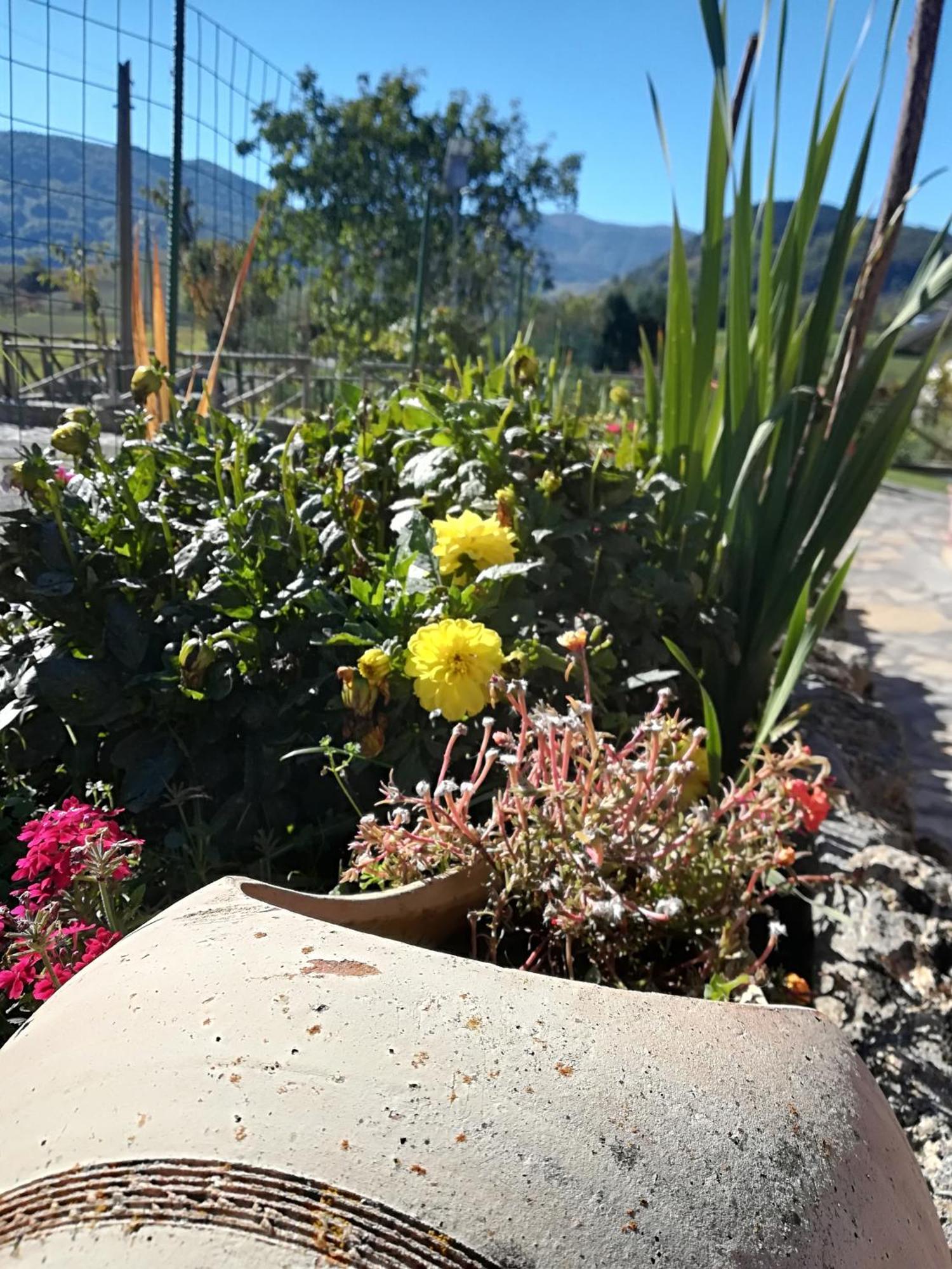 Agriturismo Casa Della Nonna 모르마노 외부 사진