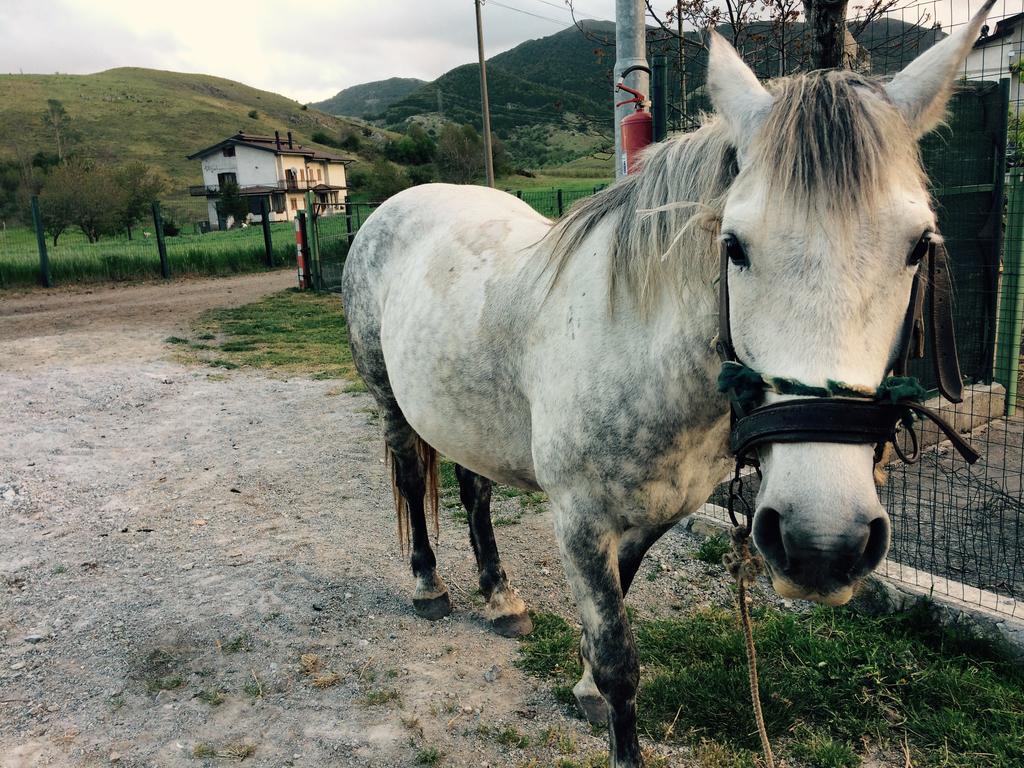Agriturismo Casa Della Nonna 모르마노 외부 사진