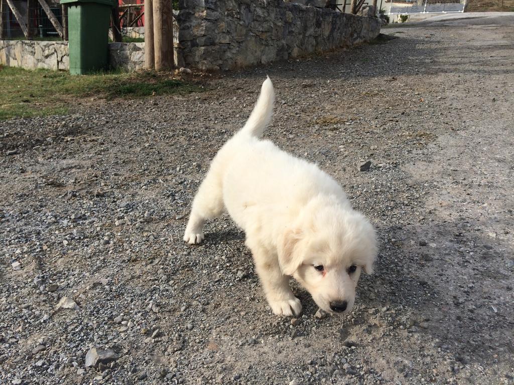 Agriturismo Casa Della Nonna 모르마노 외부 사진
